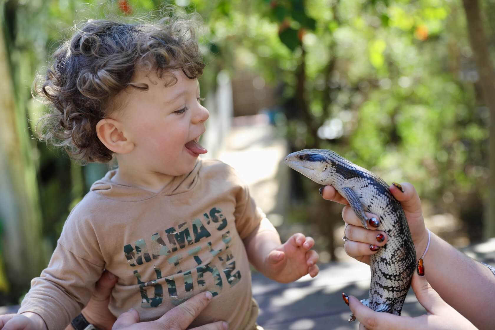 Australian Reptile Park