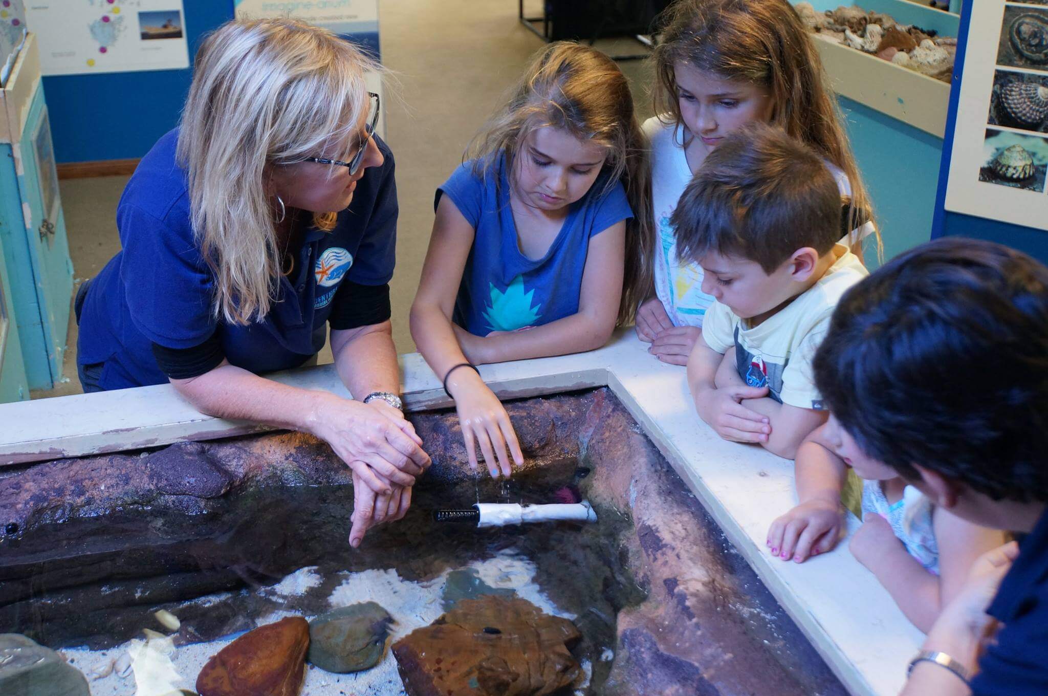 Central Coast Marine Discovery Centre