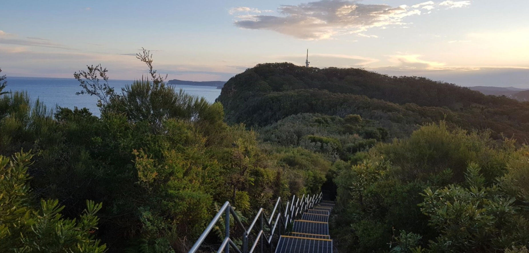 The Coast Walking Track