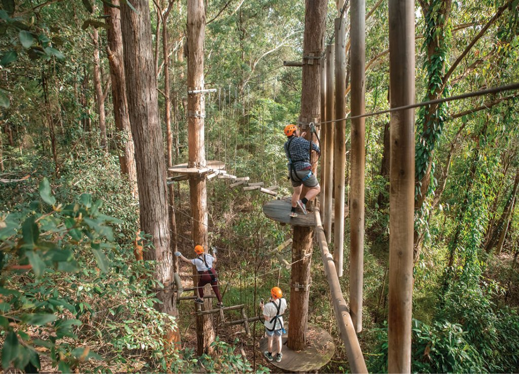 Treetops Adventure