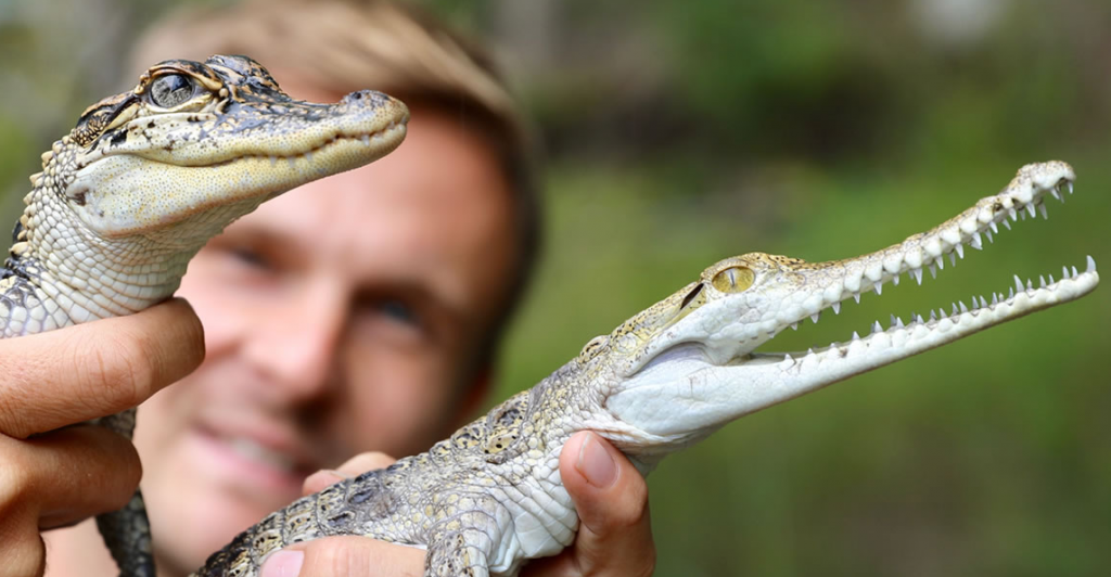 Behind the Scenes Experience, Australian Reptile Park