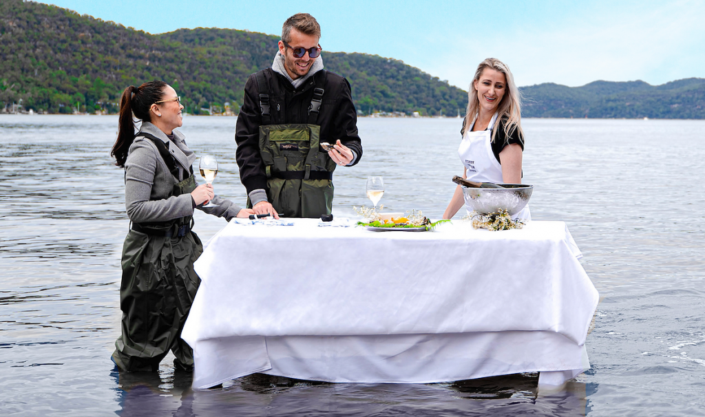 Oyster Farm Tours