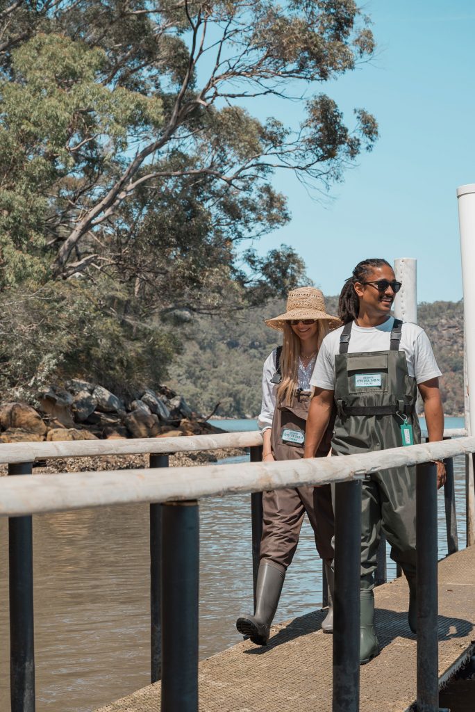 Sydney Oyster Farm Tours